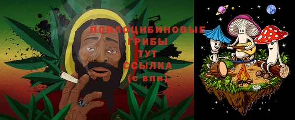 амф Алексеевка