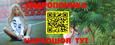 индика Чапаевск