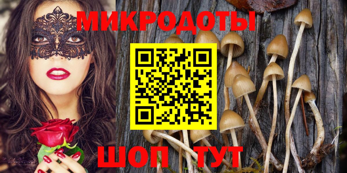Псилоцибиновые грибы Cubensis Железноводск
